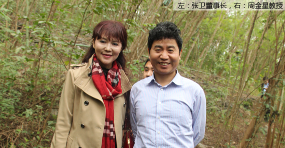 北京林业大学水土保持学院教授、博士生导师