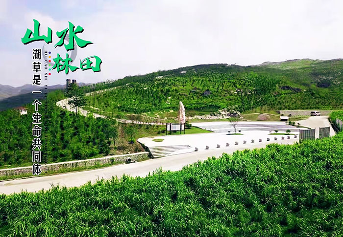 湖南省娄底市冷水江锑煤矿区山水林田湖草生态保护午夜欧美理论片项目
