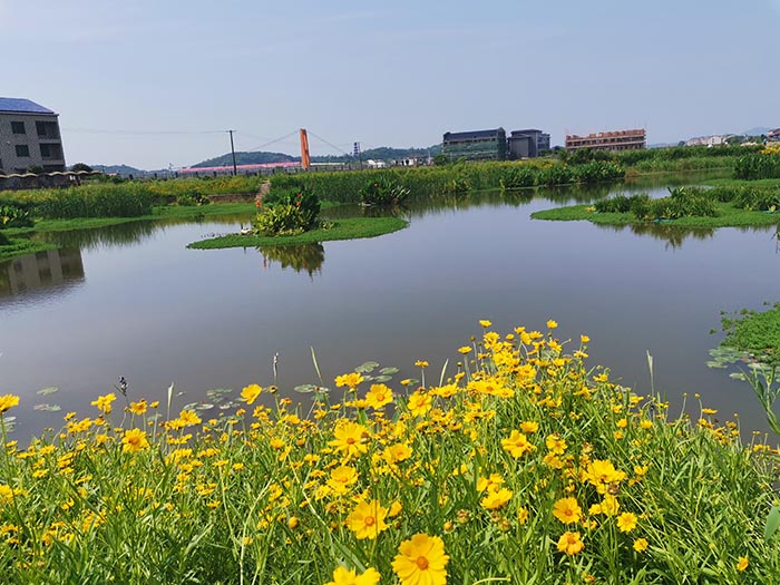 衡阳县蒸水流域山水林田湖草生态保护午夜欧美理论片工程试点项目