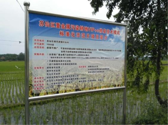 湖南省郴州市苏仙区千亩农田镉污染午夜欧美理论片项目