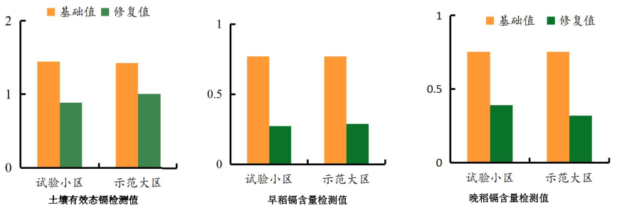 湖南省郴州市苏仙区千亩农田镉污染午夜欧美理论片项目