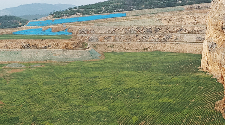 鹤壁市淇滨区南太行地区山水林田湖草生态保护午夜欧美理论片工程