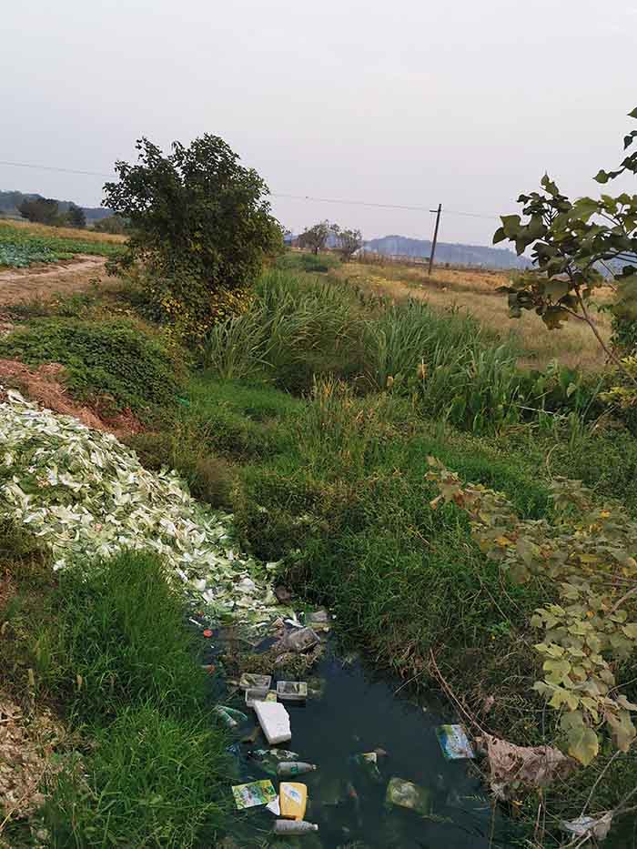衡阳县蒸水流域山水林田湖草生态保护午夜欧美理论片工程试点项目